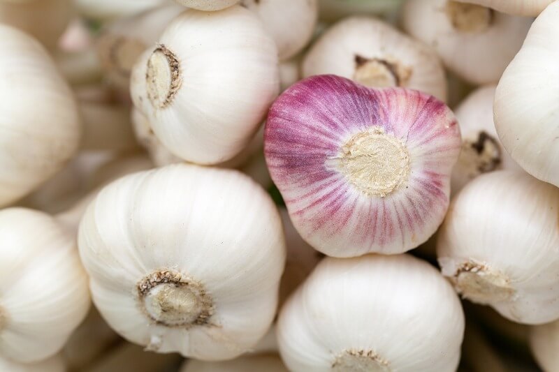 Garlic avoid keeping inside fridge