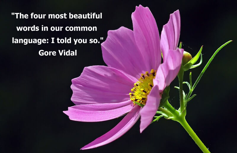 Funny quotes "The four most beautiful words in our common language: I told you so." Gore Vidal