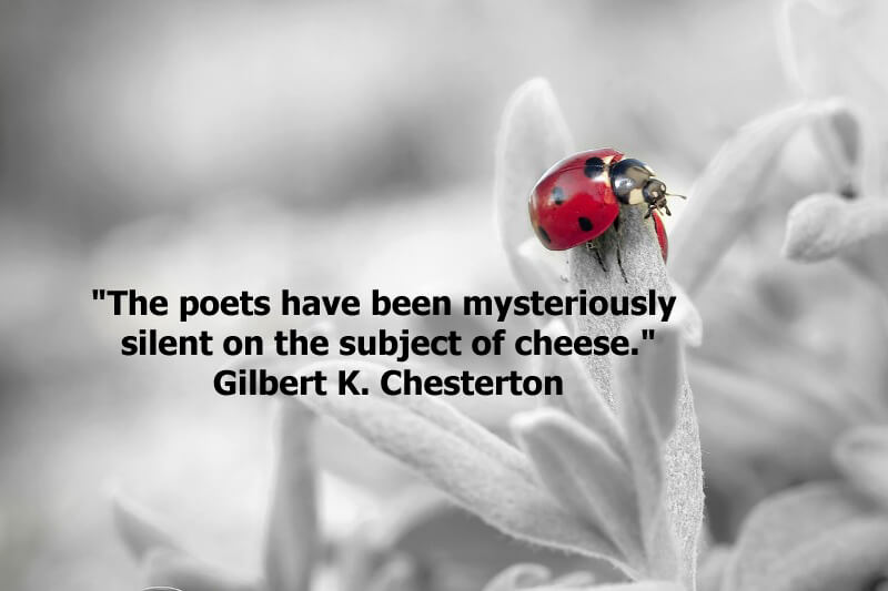  Funny quote "The poets have been mysteriously silent on the subject of cheese." Gilbert K. Chesterton