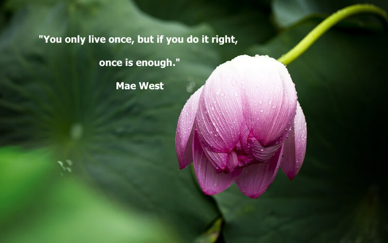 Funny quotes "You only live once, but if you do it right, once is enough." Mae West