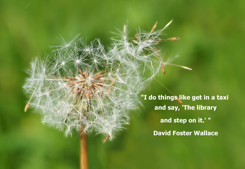Funny quotes "I do things like get in a taxi and say, 'The library, and step on it.' " David Foster Wallace