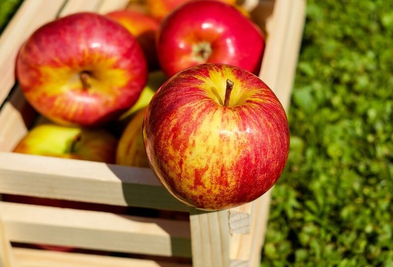 avoid keeping inside fridge Apples