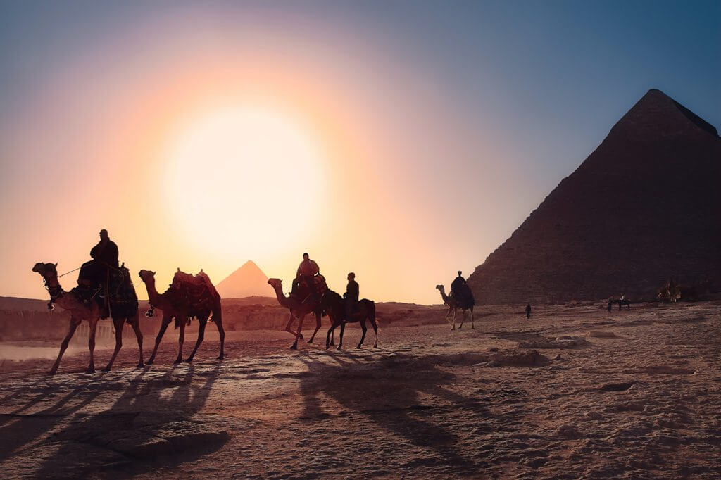 camel egypt city