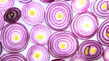 onions slices onion preservation techniques