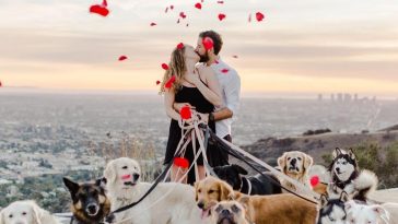Man Proposed With 16 Dogs And The Bride Said It Was Better Than Releasing Doves