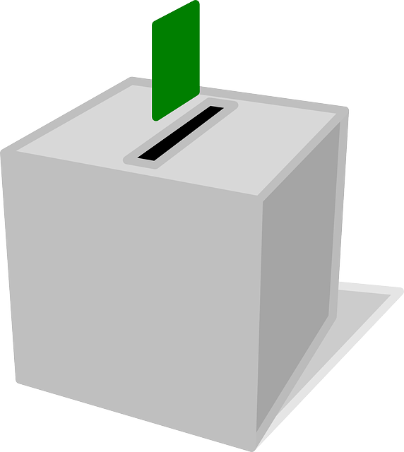 Voting ballot